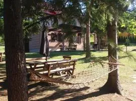 Vila Davidovic-Fruska gora