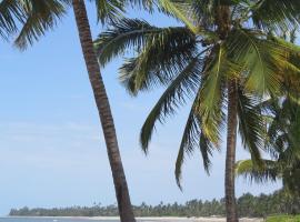 Mike's Beach Cottages，位于Pangani的酒店