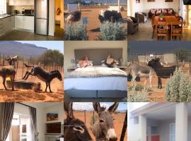 Donkieshoek Accommodation & Campsite, Calvinia，位于Calvinia的度假屋