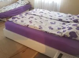 AMY APARTMAN