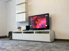 Apartament Ultracentral David