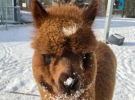 Ferienwohnung im Park 1，位于Lenschow的酒店