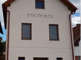 Apartmán s vinným sklepem VIKTORIE Pouzdřany，位于Pouzdřany的酒店