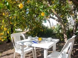 Appartamenti Melograno e Fico