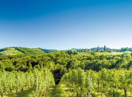 Das Pichler-Schober Weinquartier，位于Mitteregg的酒店