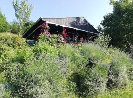 Baranja Black Hill's，位于Gajić的酒店