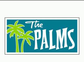 The Palms Motel，位于滨湖杰尼瓦的汽车旅馆