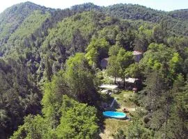 Porcaticcio