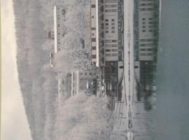 Hotel Cristallo Cerreto Laghi，位于塞利托拉吉的酒店