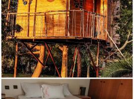 Dream catcher treehouse，位于普雷韦扎的酒店
