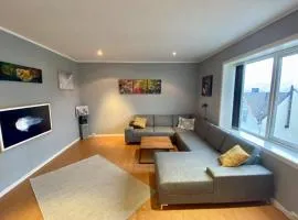 Nice and central apartment in quiet area