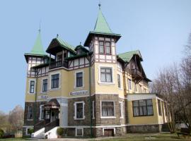 Hotel Švýcarský dům，位于Sněžnik的酒店