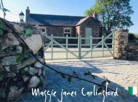 Maggie janes cottage Carlingford omealth，位于Ó Méith的酒店