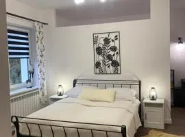 Domek pod lasem