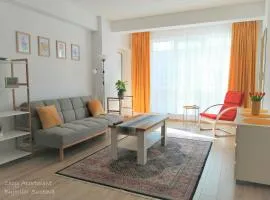 Cozy Apartment Bujorilor Suceava