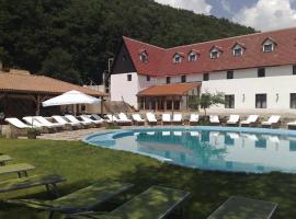 Hotel La Contele Dracula，位于克里什河畔瓦杜的酒店