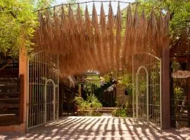 M a r e a V i v a - Z i p o l i t e