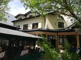 Hotel Ponti