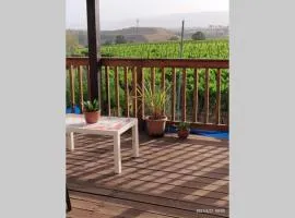 יחידת אירוח משעול בהר בבית זוג מורי דרך ליד הכינרת