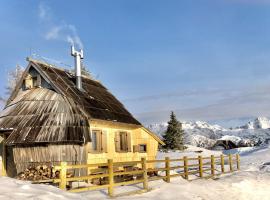 Chalet Velika Planina-I FEEL ALPS，位于Stahovica的度假屋