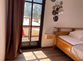 Pensiunea Bradet - Padis，位于帕迪斯的酒店