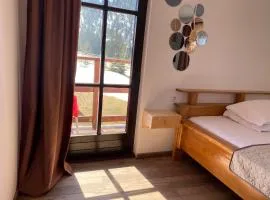 Pensiunea Bradet - Padis