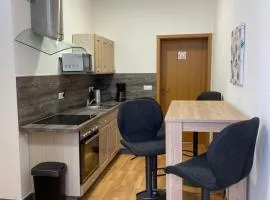 Ferienwohnung H&M Immobilien Alsleben 2