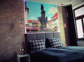 FAMILY APARTMENTS - SALZHAUSBLICK FERIENWOHNUNGEN - TOP INNENSTADT LAGE am SALZHAUS STADTZENTRUM mit HOTELBETTEN，位于齐陶的酒店