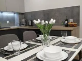 FilMar Nowoczesny Apartament przy Parku