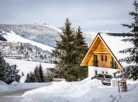Ski Chalet Klínovec，位于卢捷纳普德克利诺夫琴的木屋