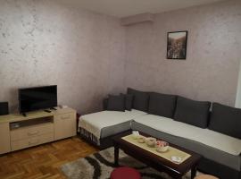 Apartman Rastko，位于新瓦罗什的酒店