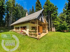 MOUNTAIN ECO CHALET KONJSKA DOLINA on 1400 m asl -near Pokljuka，位于Srednja Vas v Bohinju的酒店