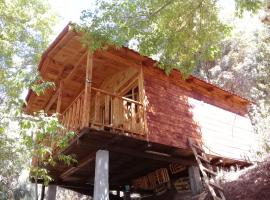 Cabaña en el Bosque de San José del Pacifico 2，位于El Pacífico的豪华帐篷