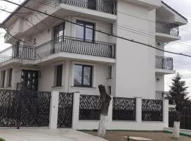 Casa Leahu