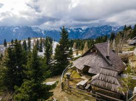 Alpine Chalet Velika Planina - Irenca - I Feel Alps，位于Stahovica的木屋