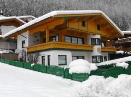 Appartementhaus Zillertal by PiaundDirk，位于弗林肯贝格的酒店