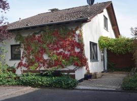 Haus Eifeldolomiten - Ankommen und Wohlfühlen，位于格罗尔斯泰因的别墅