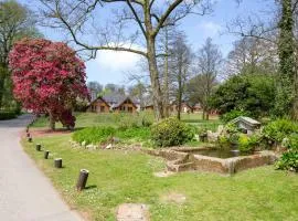 Cornish Holiday - 100 Hengar Manor