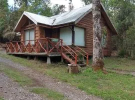 Cabañas Raices del Puma