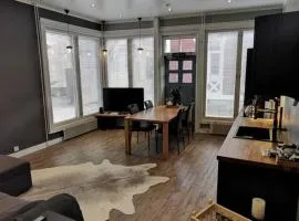 Luxury apartment In the middle Of old Rauma