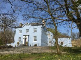 Crug Glas Country House，位于圣大卫的酒店