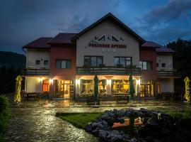 Pensiunea Apuseni-Padis，位于Pietroasa的酒店