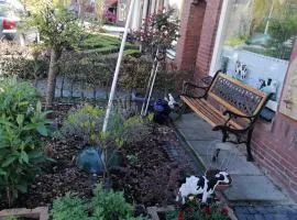 B&B Bij de koeien