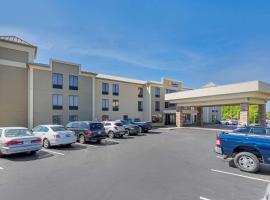 Comfort Inn & Suites Greer - Greenville，位于格里尔的酒店
