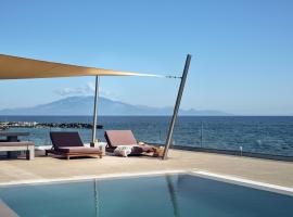 LaMer SeaFront Villa, Zante Zen By ThinkVilla，位于基普塞利的酒店