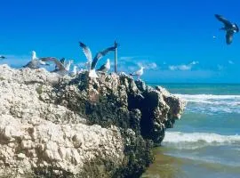 Il gabbiano, attico con terrazzo vista mare