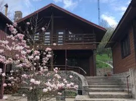 Будинок для відпочинку в лісі