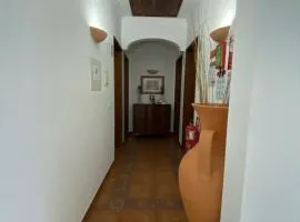 Quartos de Vidigueira