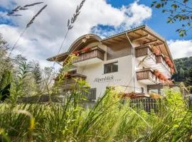 Apartments Silva Alpenblick