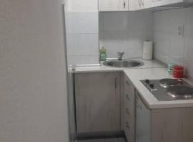 Apartmani Loznica，位于洛兹尼察的酒店
